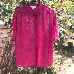Loose Sleeved Sheer Blouse With Woven Heart Print